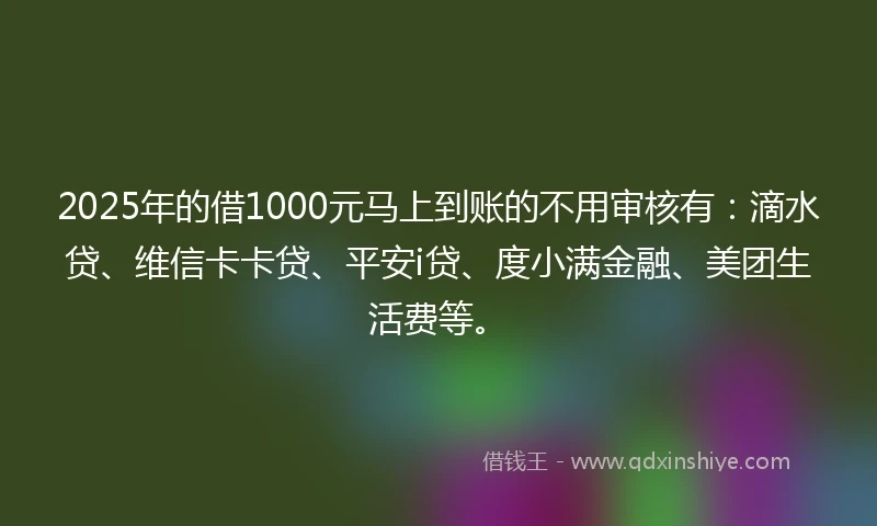 2025年的借1000元马上到账的不用审核有：滴水贷、维信卡卡贷、平安i贷、度小满金融、美团生活费等。