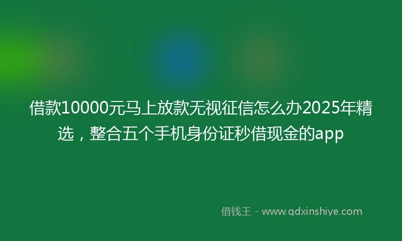 借款10000元马上放款无视征信怎么办2025年精选，整合五个手机身份证秒借现金的app