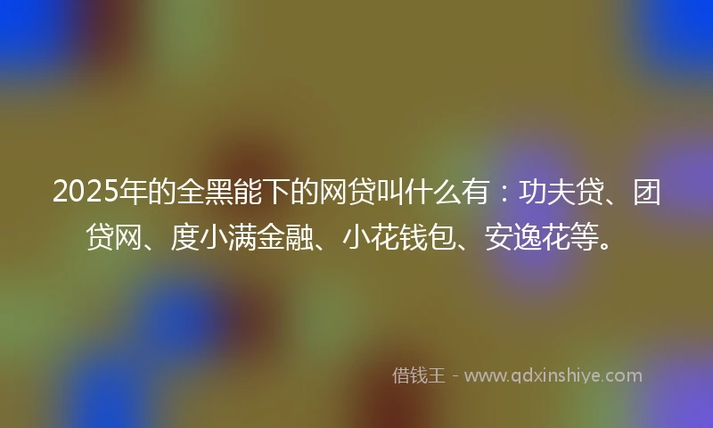 2025年的全黑能下的网贷叫什么有：功夫贷、团贷网、度小满金融、小花钱包、安逸花等。
