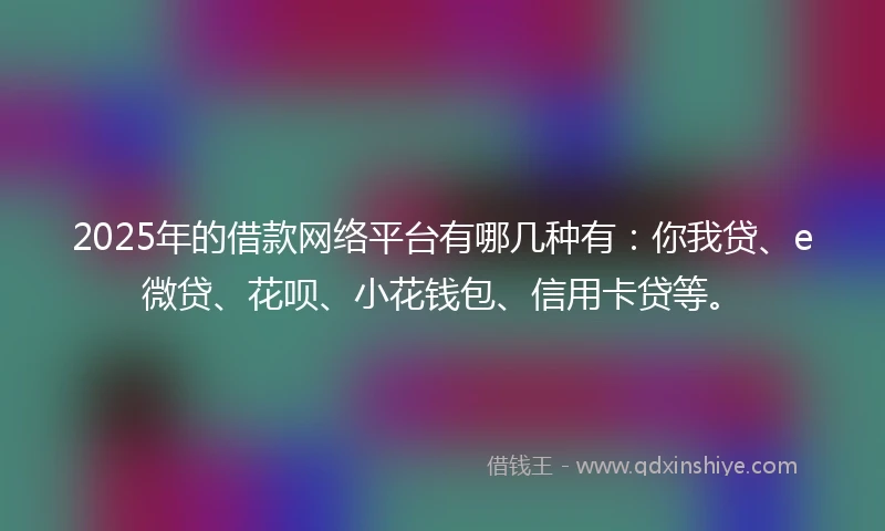 2025年的借款网络平台有哪几种有：你我贷、e微贷、花呗、小花钱包、信用卡贷等。