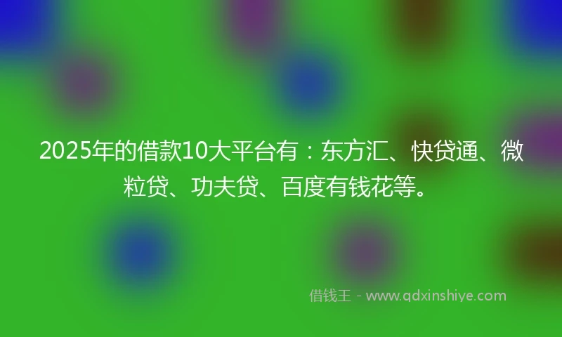 2025年的借款10大平台有：东方汇、快贷通、微粒贷、功夫贷、百度有钱花等。