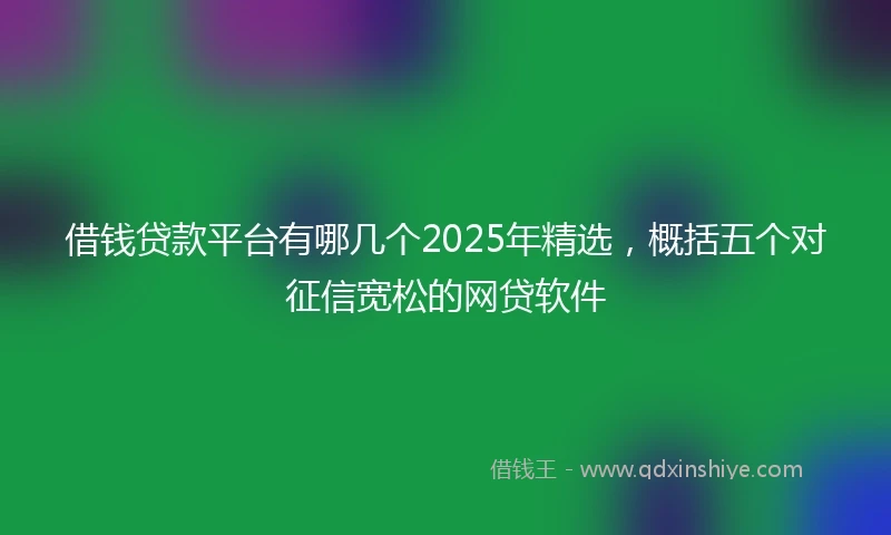 借钱贷款平台有哪几个2025年精选，概括五个对征信宽松的网贷软件