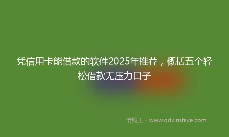 凭信用卡能借款的软件2025年推荐，概括五个轻松借款无压力口子
