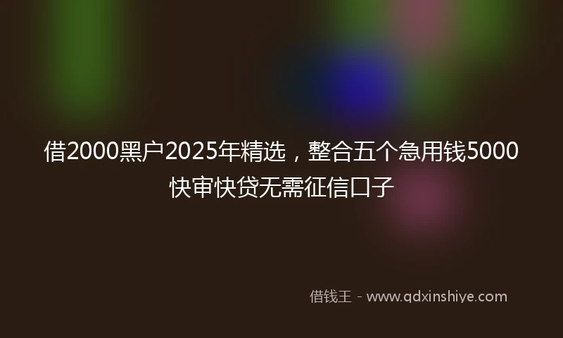 借2000黑户2025年精选，整合五个急用钱5000快审快贷无需征信口子