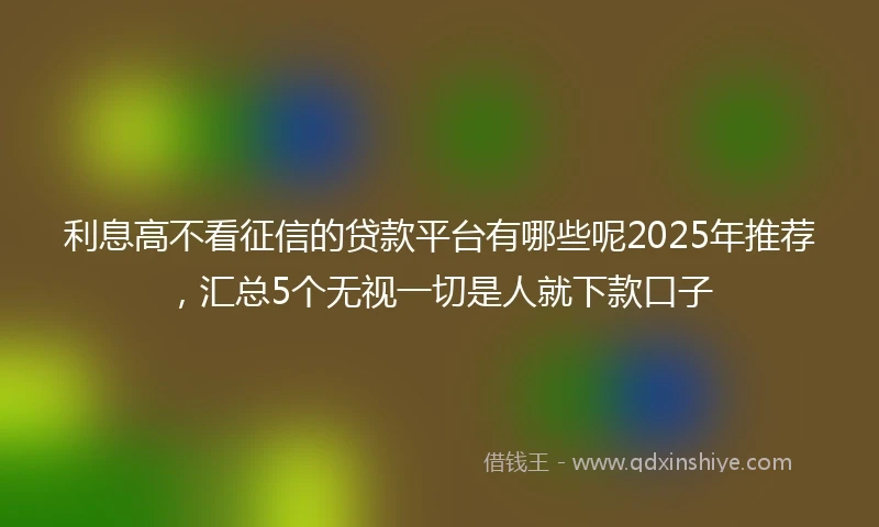 利息高不看征信的贷款平台有哪些呢2025年推荐，汇总5个无视一切是人就下款口子