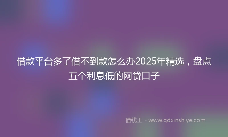 借款平台多了借不到款怎么办2025年精选，盘点五个利息低的网贷口子