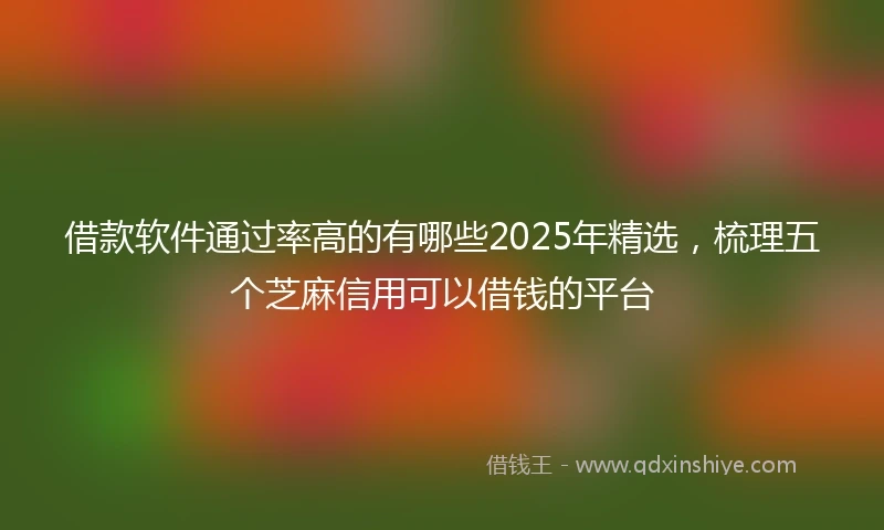 借款软件通过率高的有哪些2025年精选，梳理五个芝麻信用可以借钱的平台