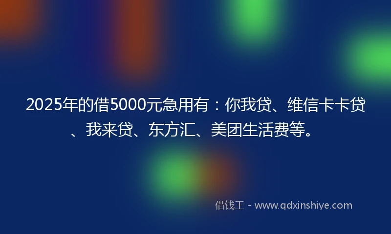 2025年的借5000元急用有：你我贷、维信卡卡贷、我来贷、东方汇、美团生活费等。