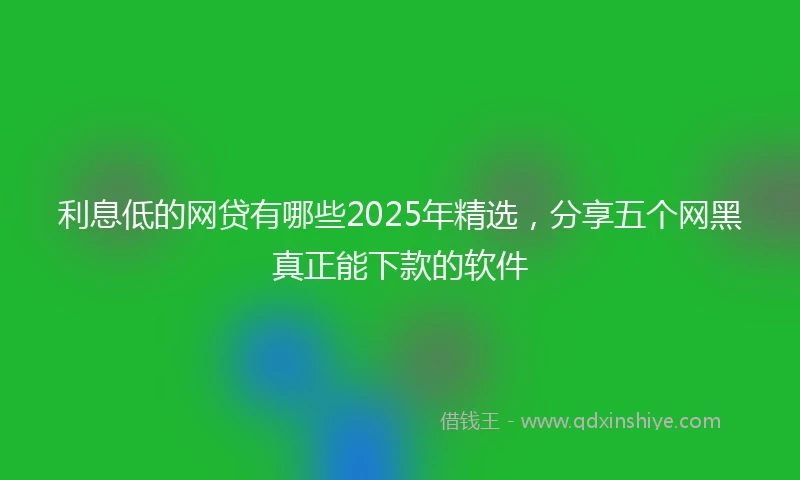 利息低的网贷有哪些2025年精选，分享五个网黑真正能下款的软件