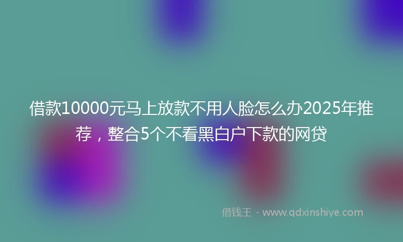 借款10000元马上放款不用人脸怎么办2025年推荐，整合5个不看黑白户下款的网贷