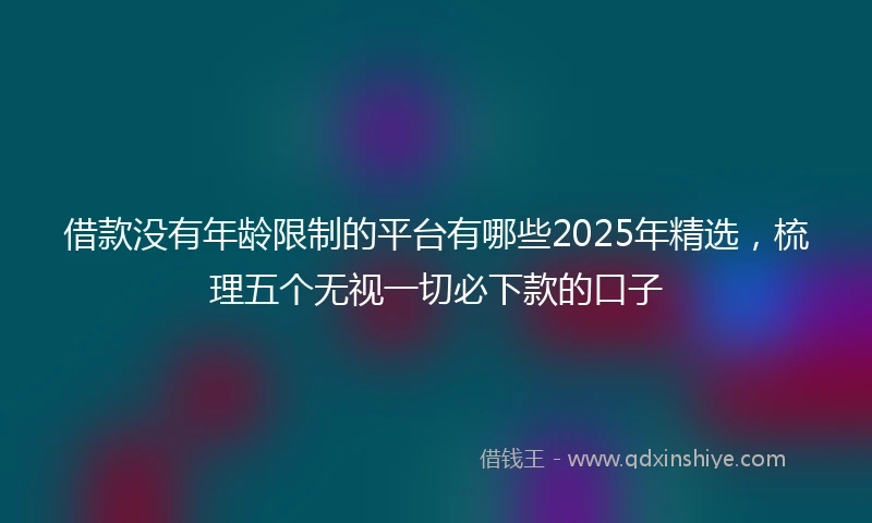 借款没有年龄限制的平台有哪些2025年精选，梳理五个无视一切必下款的口子