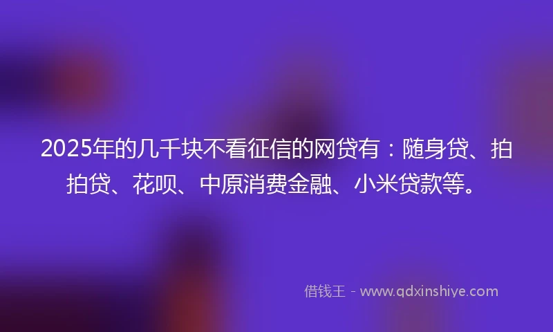 2025年的几千块不看征信的网贷有：随身贷、拍拍贷、花呗、中原消费金融、小米贷款等。
