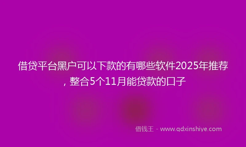 借贷平台黑户可以下款的有哪些软件2025年推荐，整合5个11月能贷款的口子