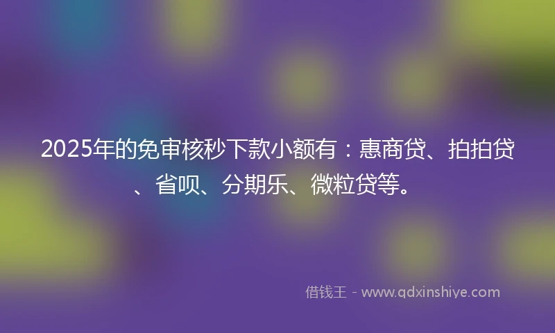 2025年的免审核秒下款小额有：惠商贷、拍拍贷、省呗、分期乐、微粒贷等。