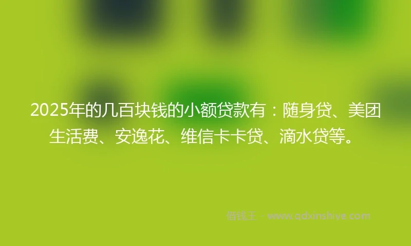 2025年的几百块钱的小额贷款有：随身贷、美团生活费、安逸花、维信卡卡贷、滴水贷等。