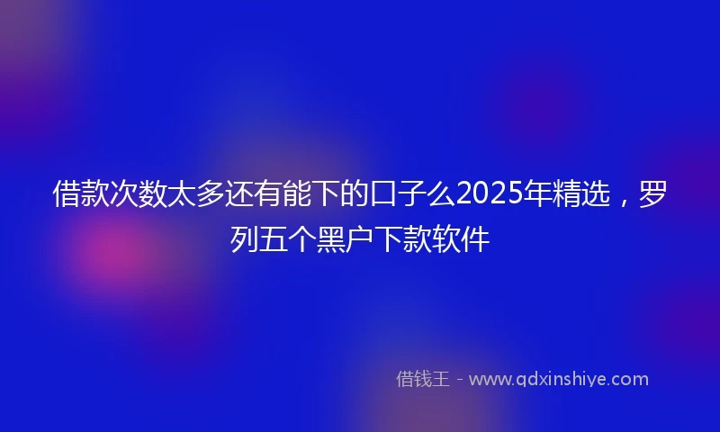 借款次数太多还有能下的口子么2025年精选，罗列五个黑户下款软件