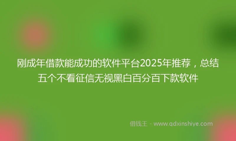 刚成年借款能成功的软件平台2025年推荐，总结五个不看征信无视黑白百分百下款软件