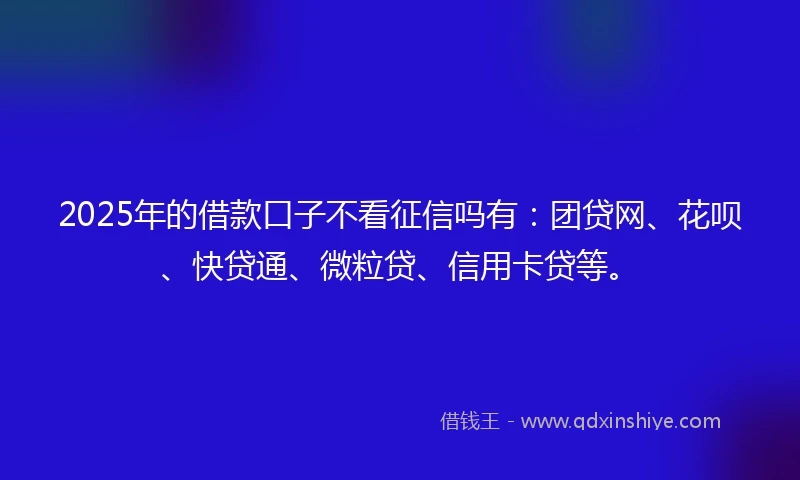 2025年的借款口子不看征信吗有：团贷网、花呗、快贷通、微粒贷、信用卡贷等。