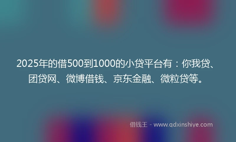 2025年的借500到1000的小贷平台有：你我贷、团贷网、微博借钱、京东金融、微粒贷等。