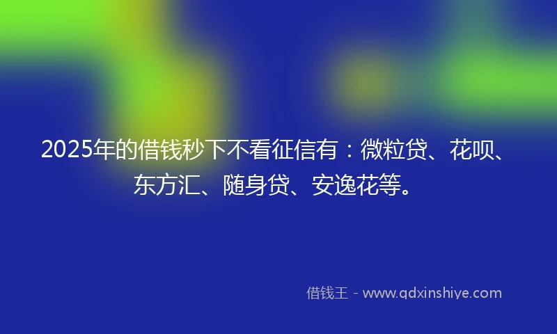 2025年的借钱秒下不看征信有：微粒贷、花呗、东方汇、随身贷、安逸花等。
