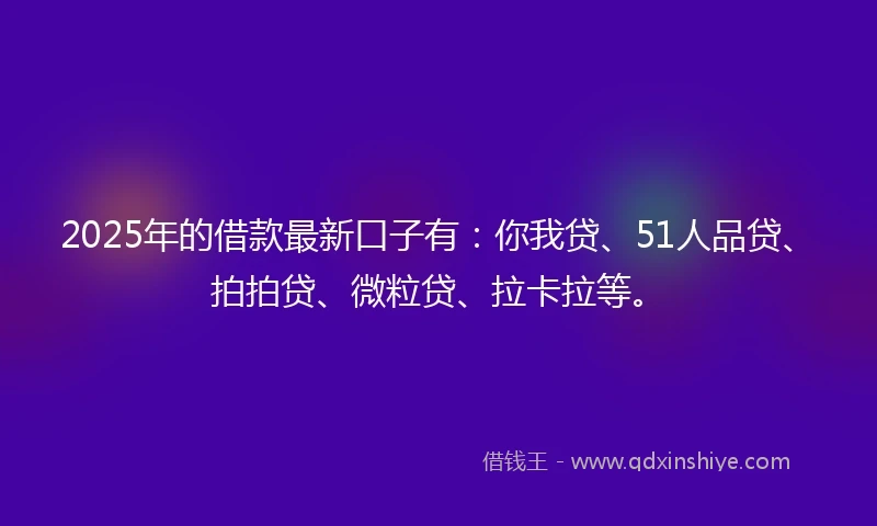 2025年的借款最新口子有：你我贷、51人品贷、拍拍贷、微粒贷、拉卡拉等。