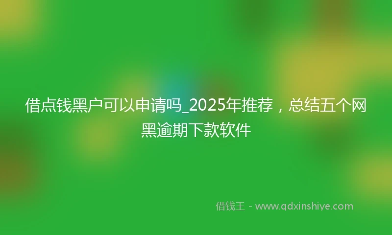 借点钱黑户可以申请吗_2025年推荐，总结五个网黑逾期下款软件