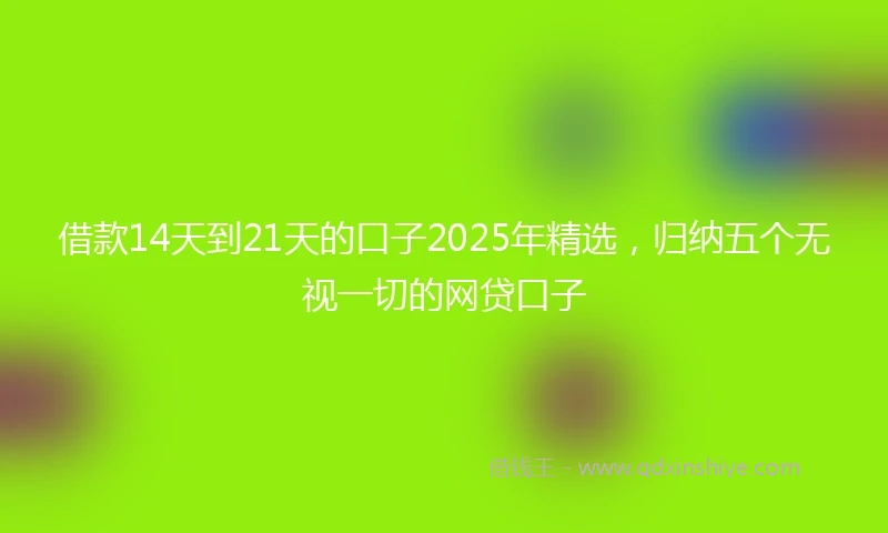 借款14天到21天的口子2025年精选，归纳五个无视一切的网贷口子