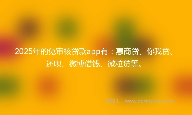 2025年的免审核贷款app有：惠商贷、你我贷、还呗、微博借钱、微粒贷等。