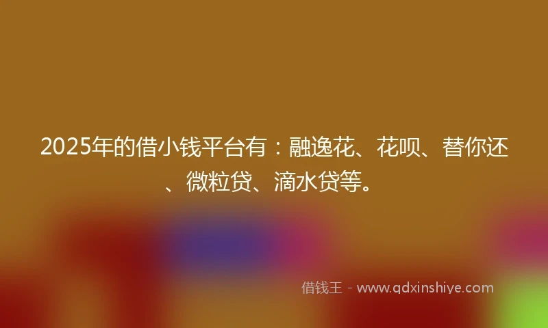 2025年的借小钱平台有：融逸花、花呗、替你还、微粒贷、滴水贷等。