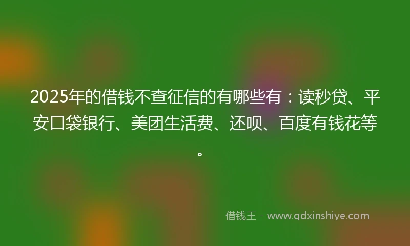 2025年的借钱不查征信的有哪些有：读秒贷、平安口袋银行、美团生活费、还呗、百度有钱花等。