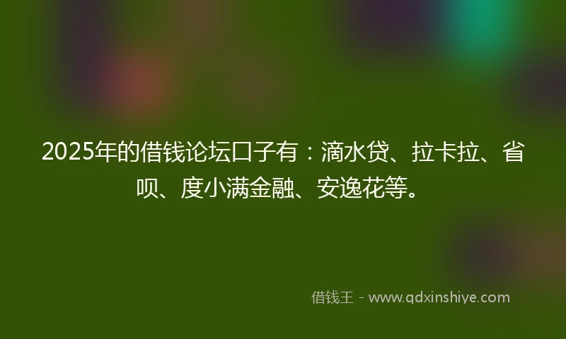 2025年的借钱论坛口子有：滴水贷、拉卡拉、省呗、度小满金融、安逸花等。