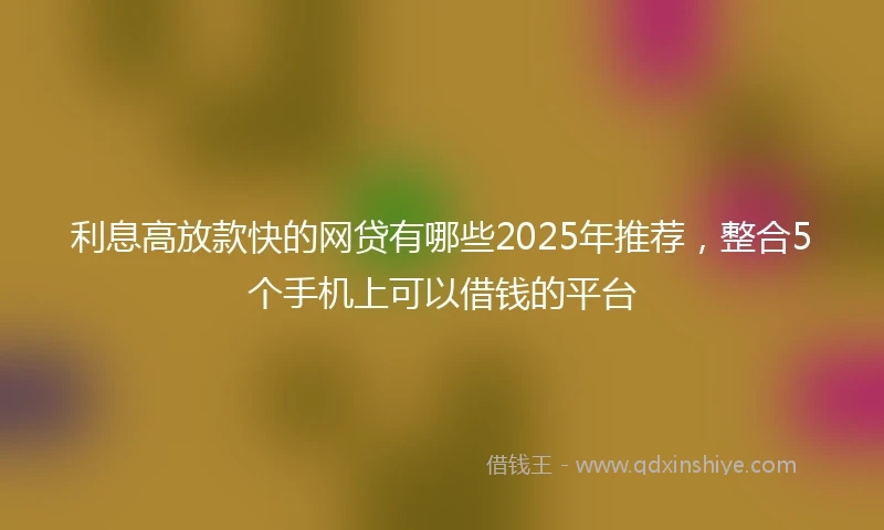 利息高放款快的网贷有哪些2025年推荐，整合5个手机上可以借钱的平台