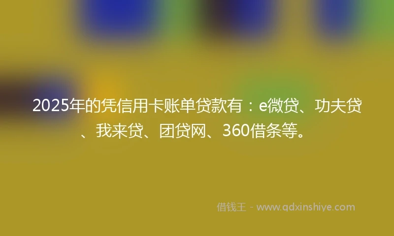 2025年的凭信用卡账单贷款有：e微贷、功夫贷、我来贷、团贷网、360借条等。
