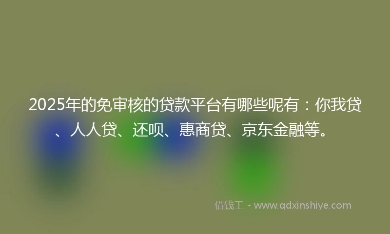 2025年的免审核的贷款平台有哪些呢有：你我贷、人人贷、还呗、惠商贷、京东金融等。