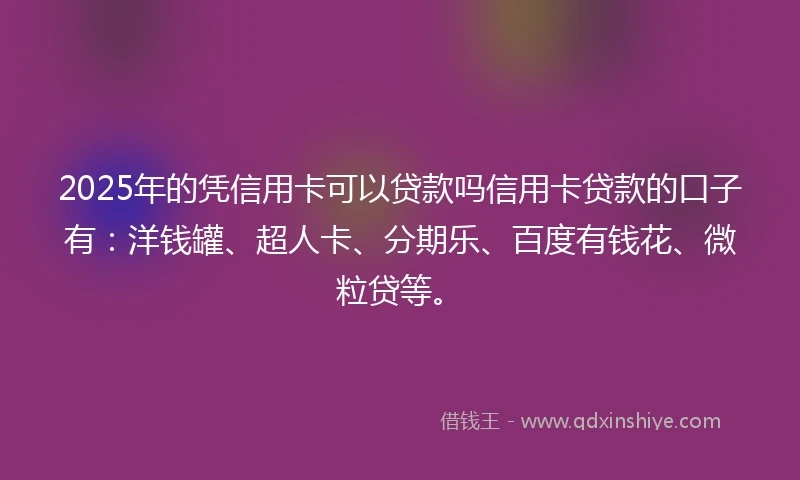 2025年的凭信用卡可以贷款吗信用卡贷款的口子有：洋钱罐、超人卡、分期乐、百度有钱花、微粒贷等。