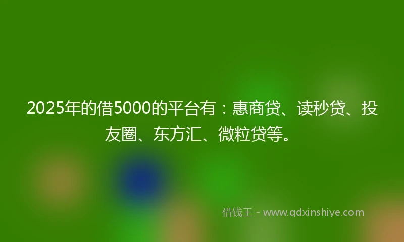 2025年的借5000的平台有：惠商贷、读秒贷、投友圈、东方汇、微粒贷等。