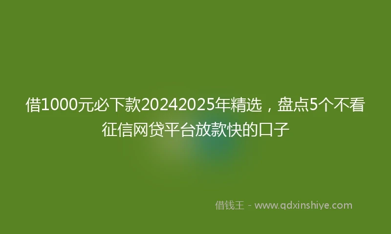 借1000元必下款20242025年精选，盘点5个不看征信网贷平台放款快的口子