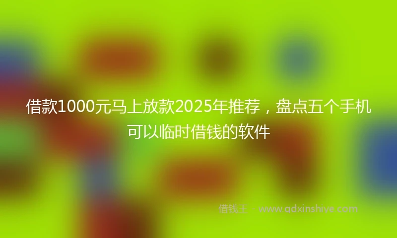 借款1000元马上放款2025年推荐，盘点五个手机可以临时借钱的软件