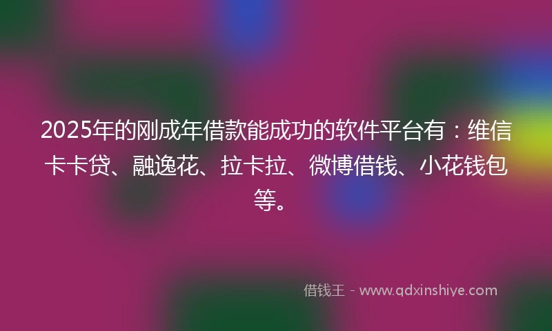 2025年的刚成年借款能成功的软件平台有：维信卡卡贷、融逸花、拉卡拉、微博借钱、小花钱包等。