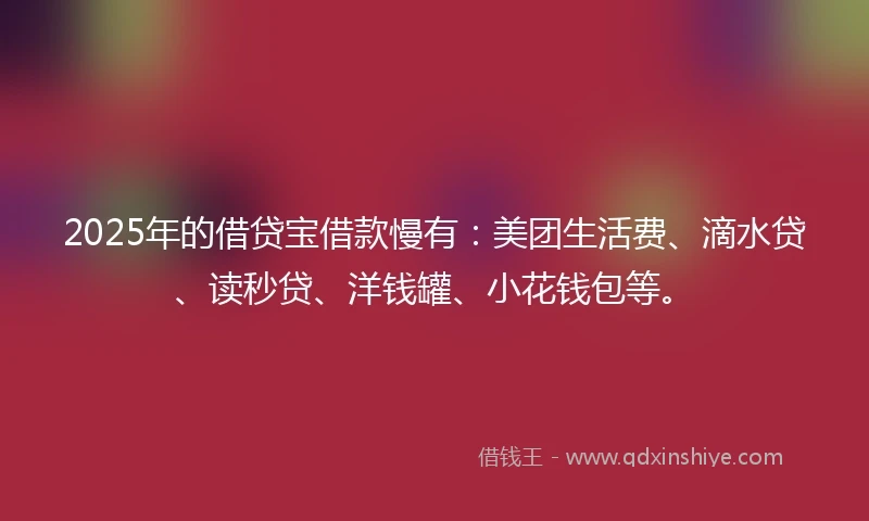 2025年的借贷宝借款慢有：美团生活费、滴水贷、读秒贷、洋钱罐、小花钱包等。