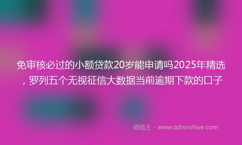 免审核必过的小额贷款20岁能申请吗2025年精选，罗列五个无视征信大数据当前逾期下款的口子