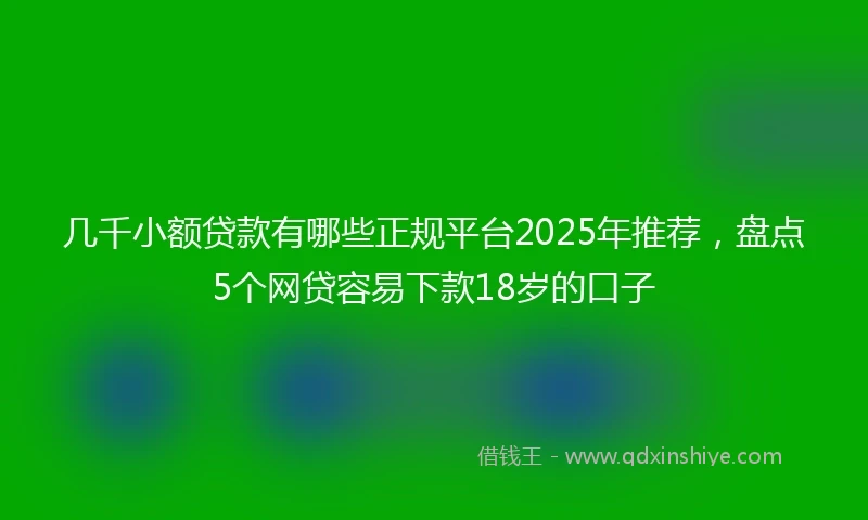 几千小额贷款有哪些正规平台2025年推荐，盘点5个网贷容易下款18岁的口子