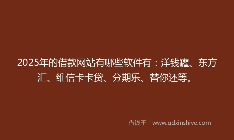 2025年的借款网站有哪些软件有：洋钱罐、东方汇、维信卡卡贷、分期乐、替你还等。