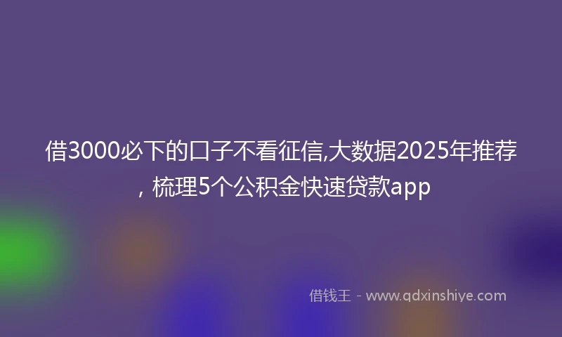 借3000必下的口子不看征信,大数据2025年推荐，梳理5个公积金快速贷款app
