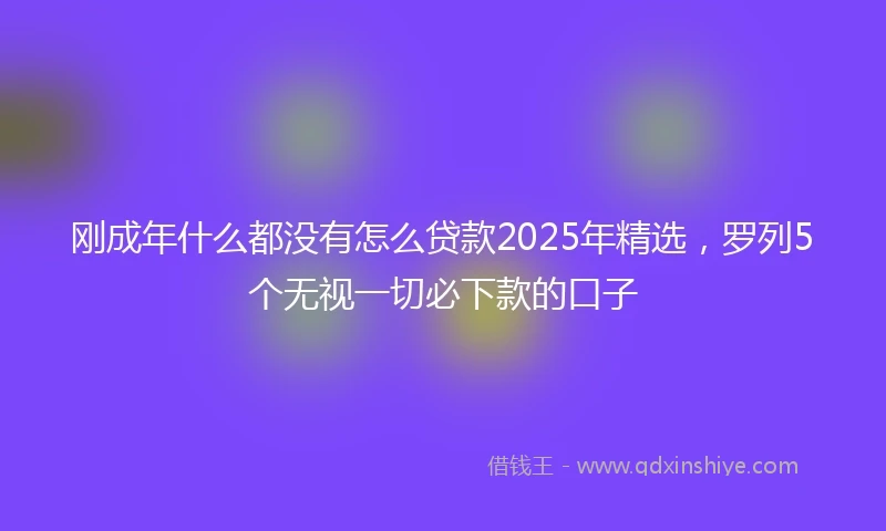 刚成年什么都没有怎么贷款2025年精选，罗列5个无视一切必下款的口子
