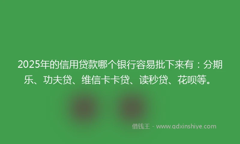 2025年的信用贷款哪个银行容易批下来有：分期乐、功夫贷、维信卡卡贷、读秒贷、花呗等。