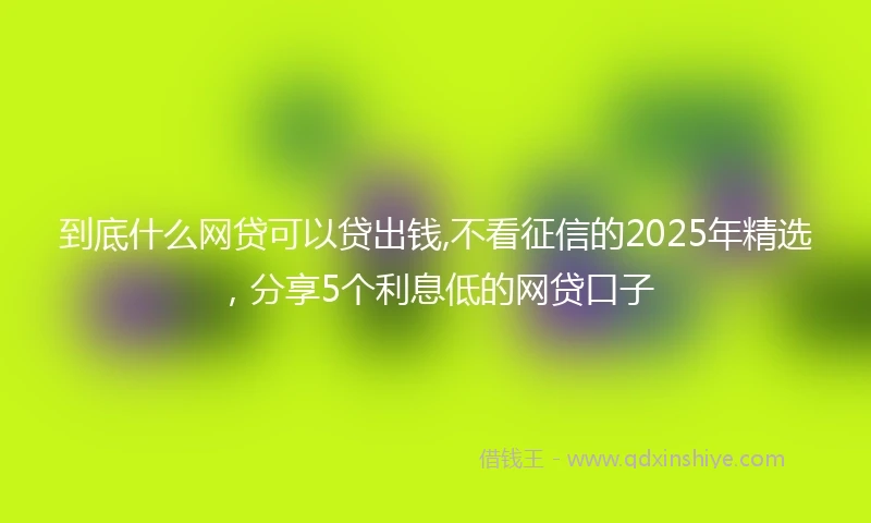 到底什么网贷可以贷出钱,不看征信的2025年精选,分享5个利息低的网贷口子