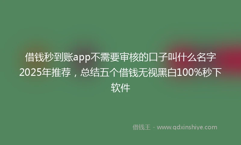 借钱秒到账app不需要审核的口子叫什么名字2025年推荐，总结五个借钱无视黑白100%秒下软件