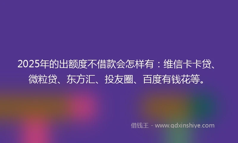 2025年的出额度不借款会怎样有：维信卡卡贷、微粒贷、东方汇、投友圈、百度有钱花等。
