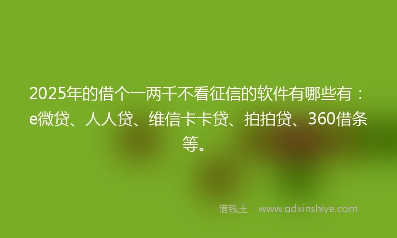 2025年的借个一两千不看征信的软件有哪些有：e微贷、人人贷、维信卡卡贷、拍拍贷、360借条等。